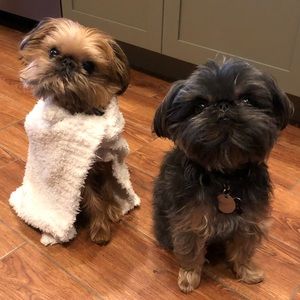 Meet your Posher, Cathy